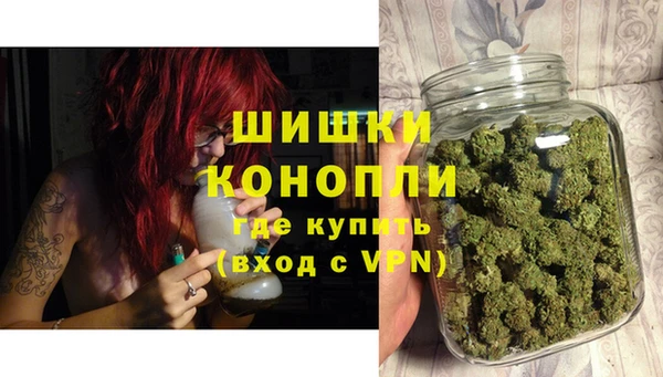 дмт Гусь-Хрустальный
